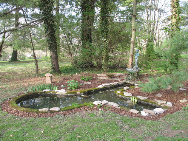 fish-pond-planted