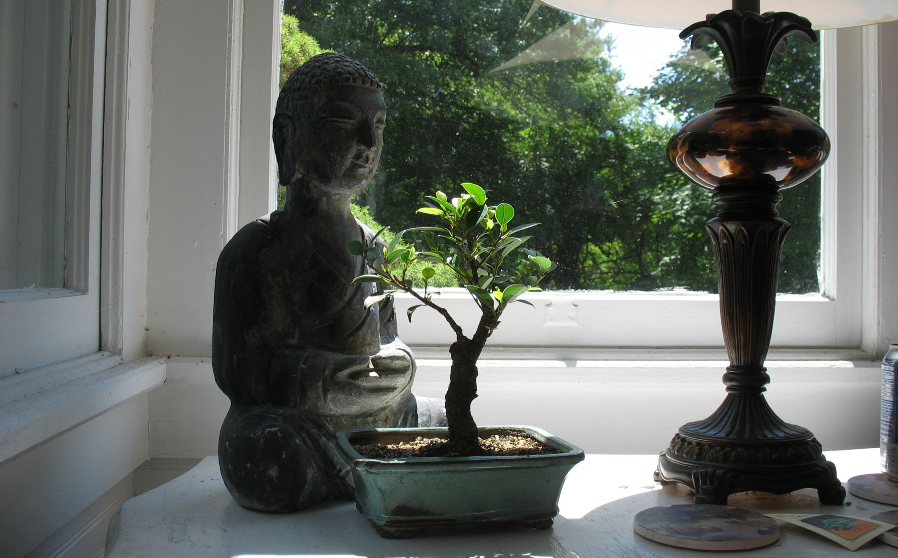 Buddha and Bonzai