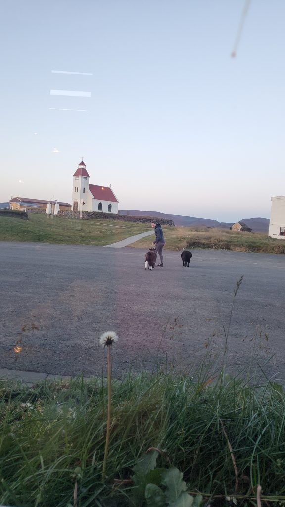 dog and goat greeting a woman