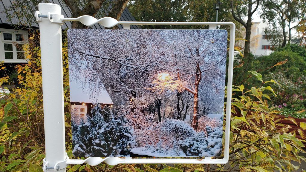 picture of garden in winter