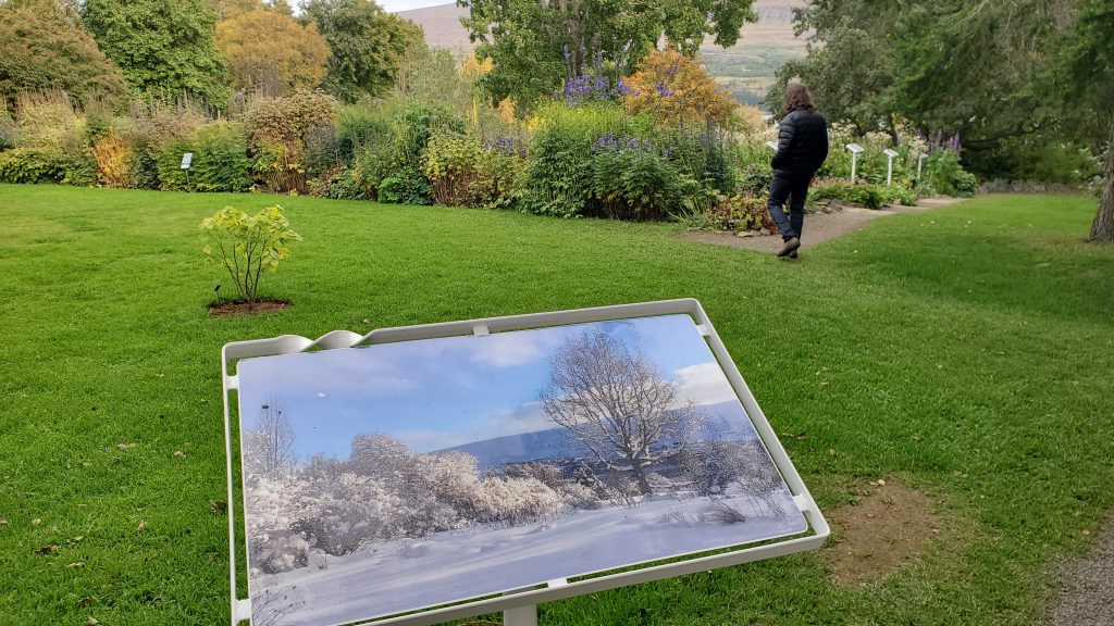 a winter garden scene with fall garden in background