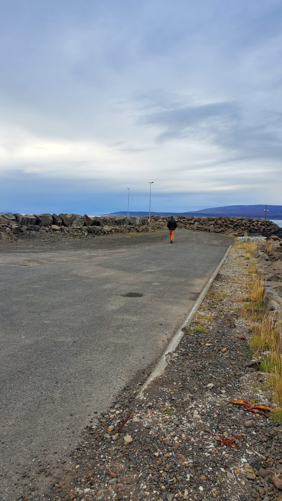 person walking on road near ocean