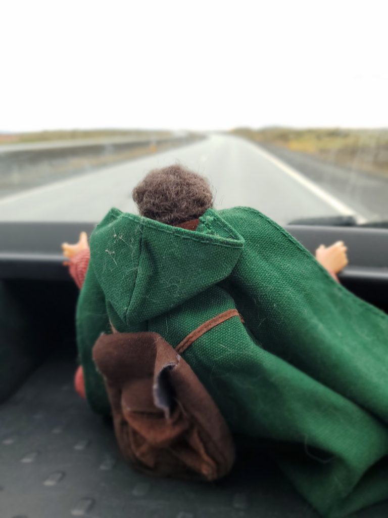 Frodo on dashboard