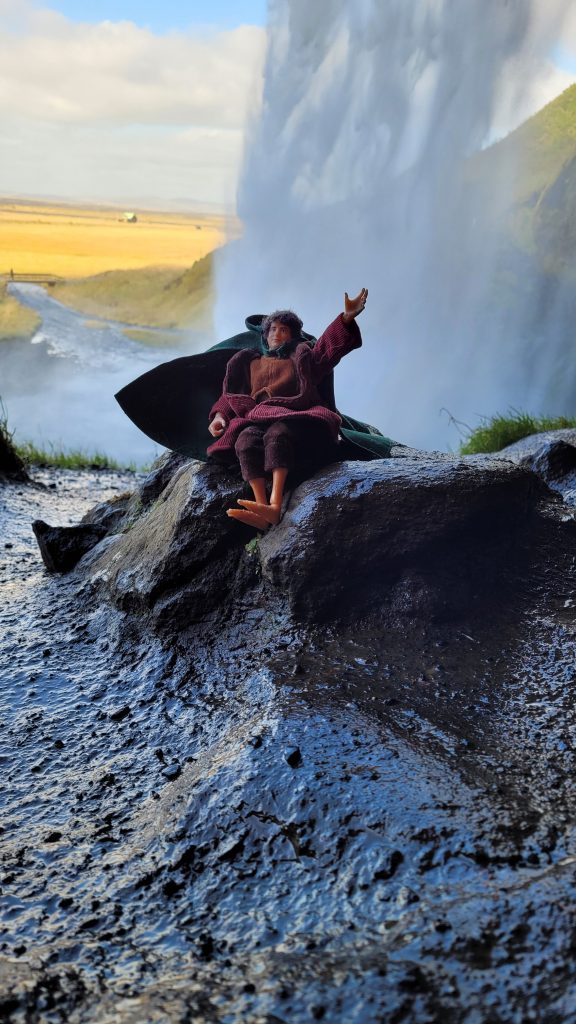 Frodo at seljalandsfoss