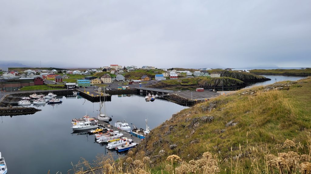 view of a marina with boats and town