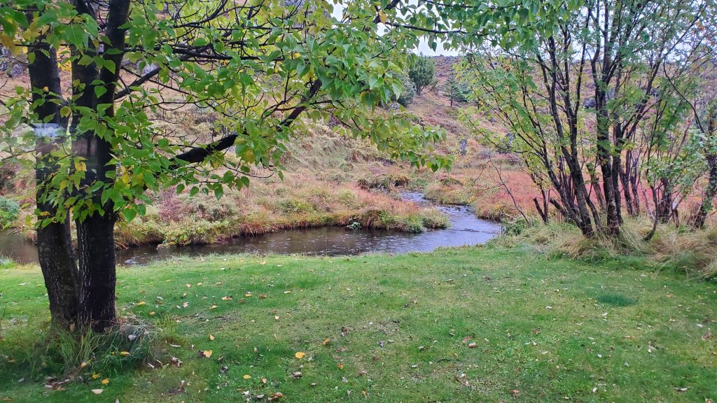 a brook behind our cottage