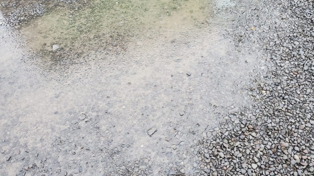 puddle in gravel