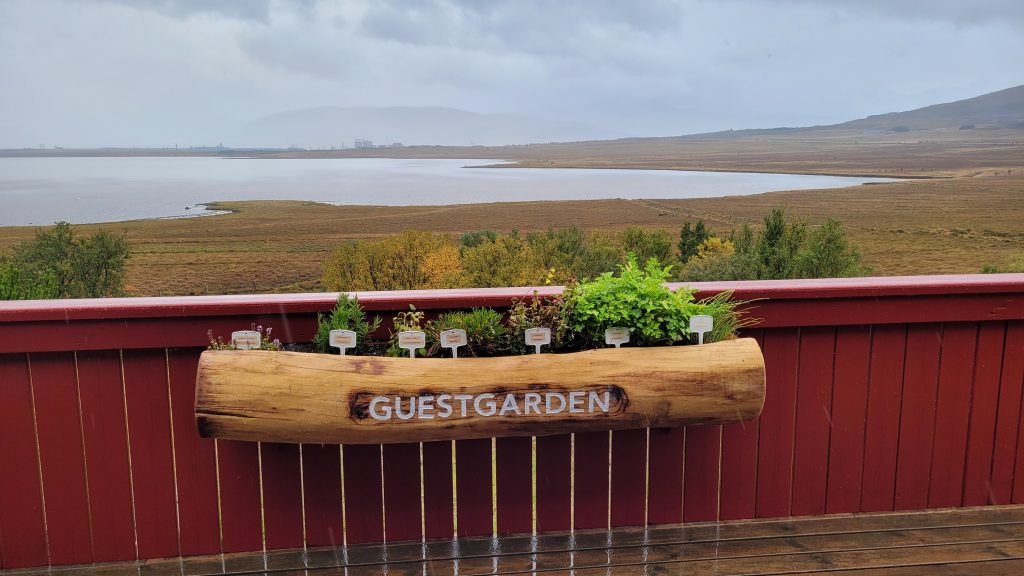 guest garden box on the deck