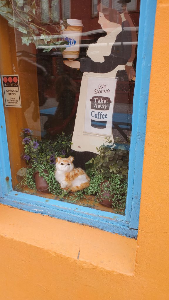 store window with stuff cat