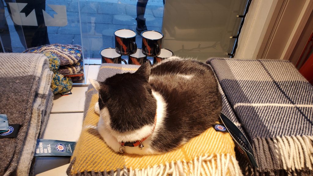 cat sleeping on a scarf in a shop